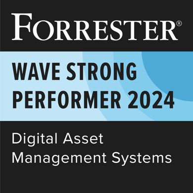 2024Q1_Digital-Asset-Management-Systems_180482_SP