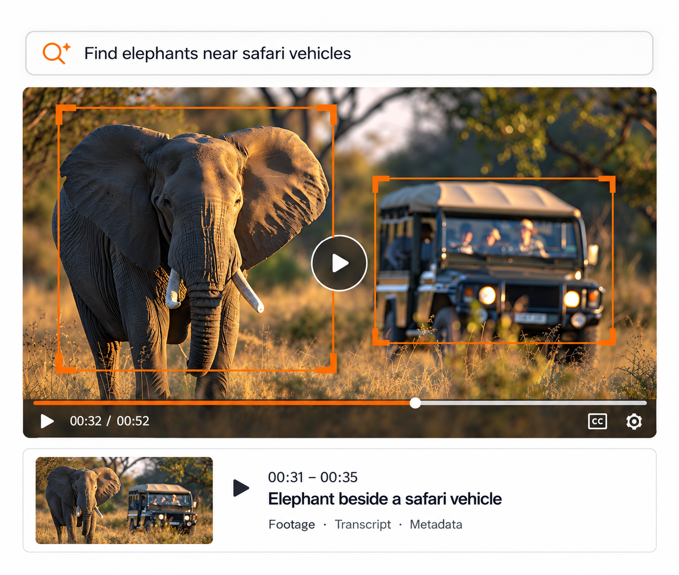 AI search highlights elephant safari moment
