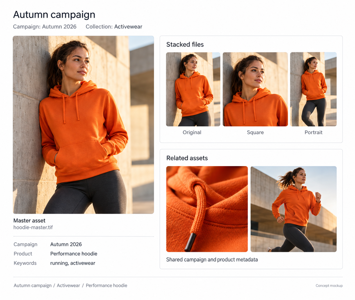 Autumn campaign asset relationships