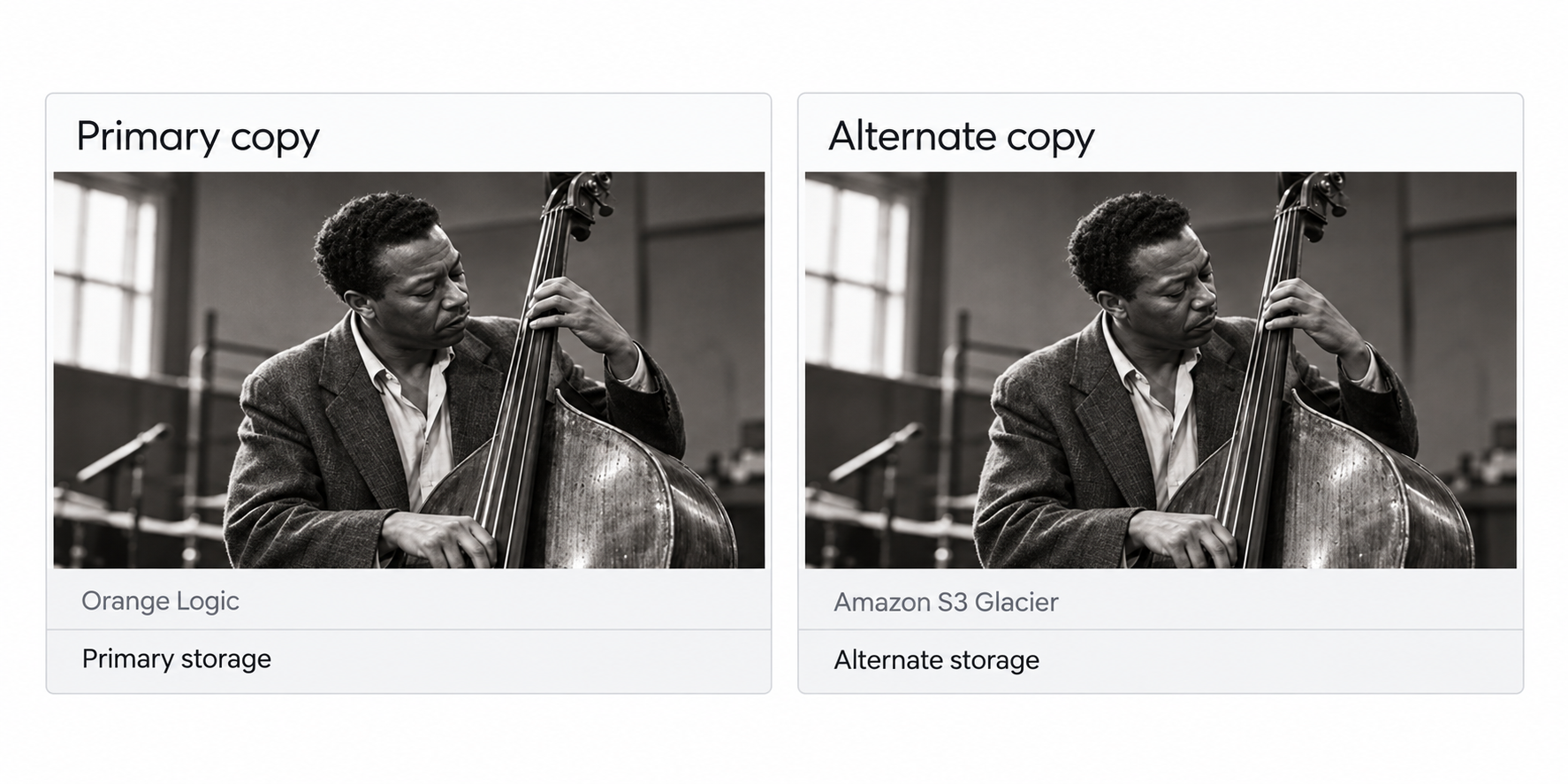 Upright bass photo in primary and alternate storage