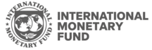 International Monetary Fund logo