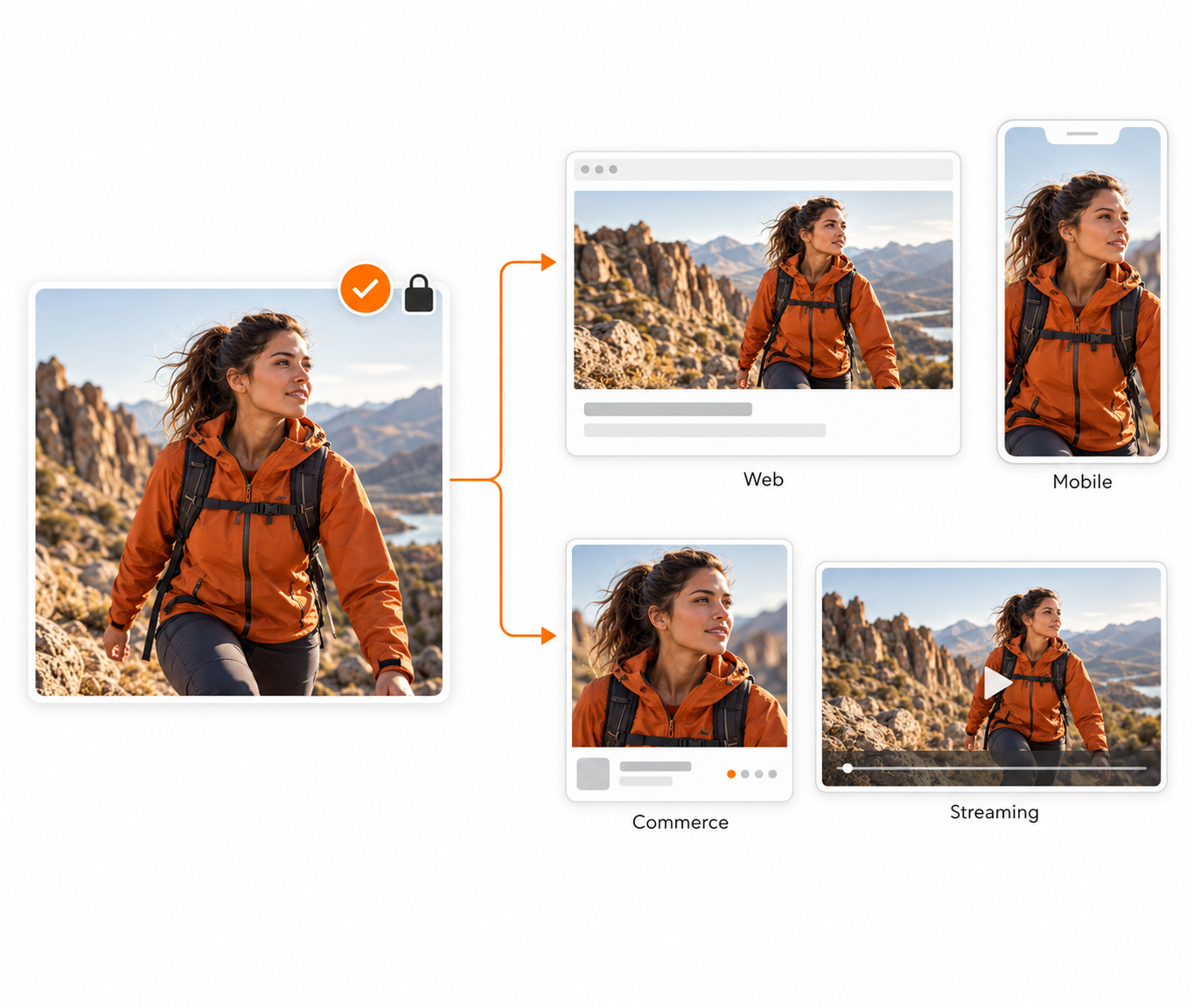 Orange Logic content delivery and CDN