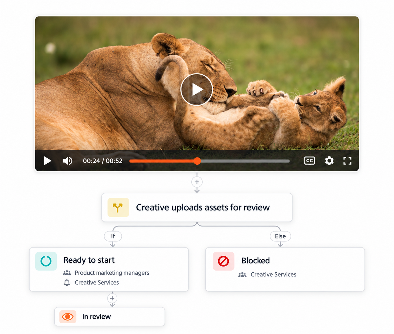 Lioness and cub video review workflow