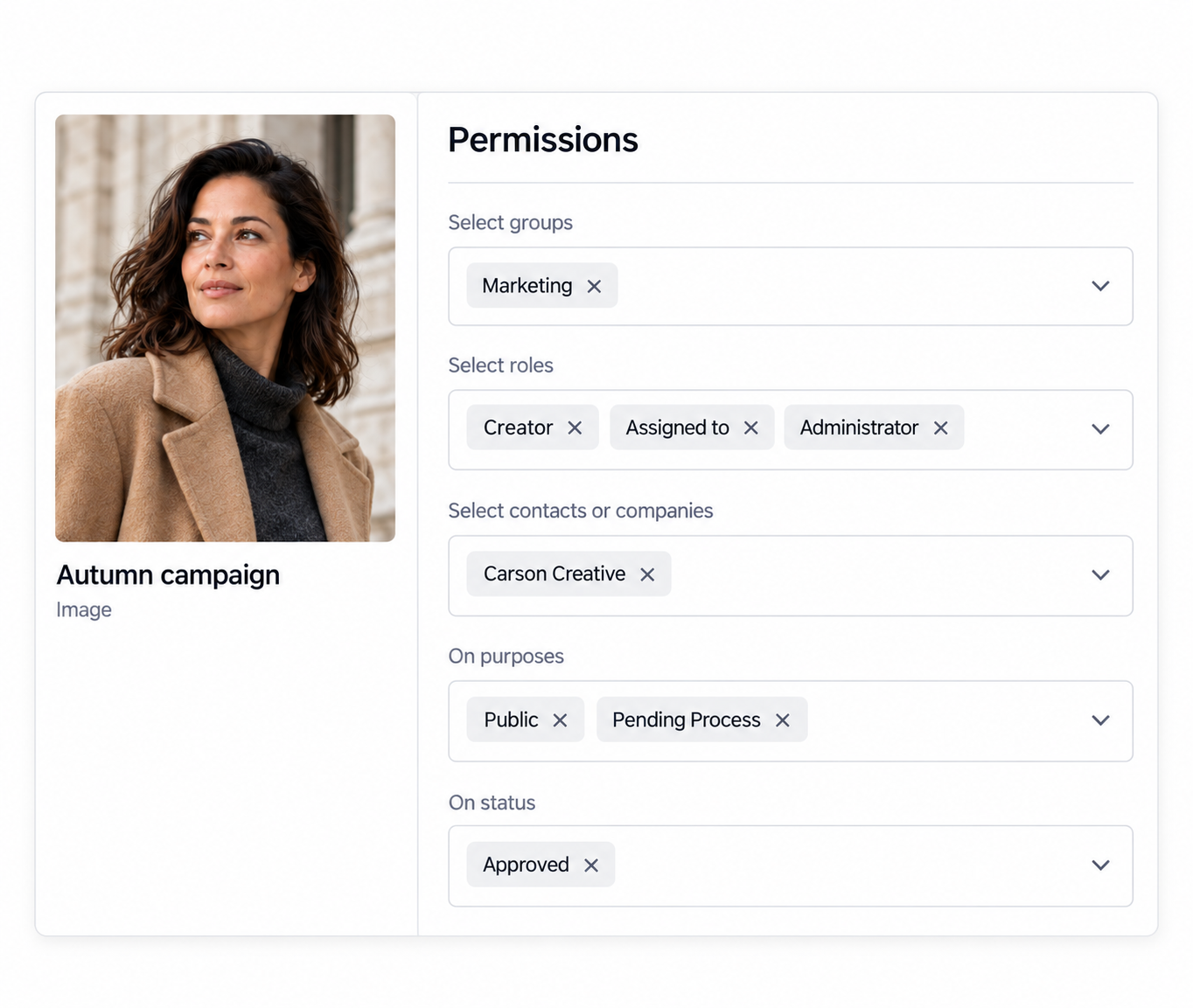 Permissions panel with campaign preview