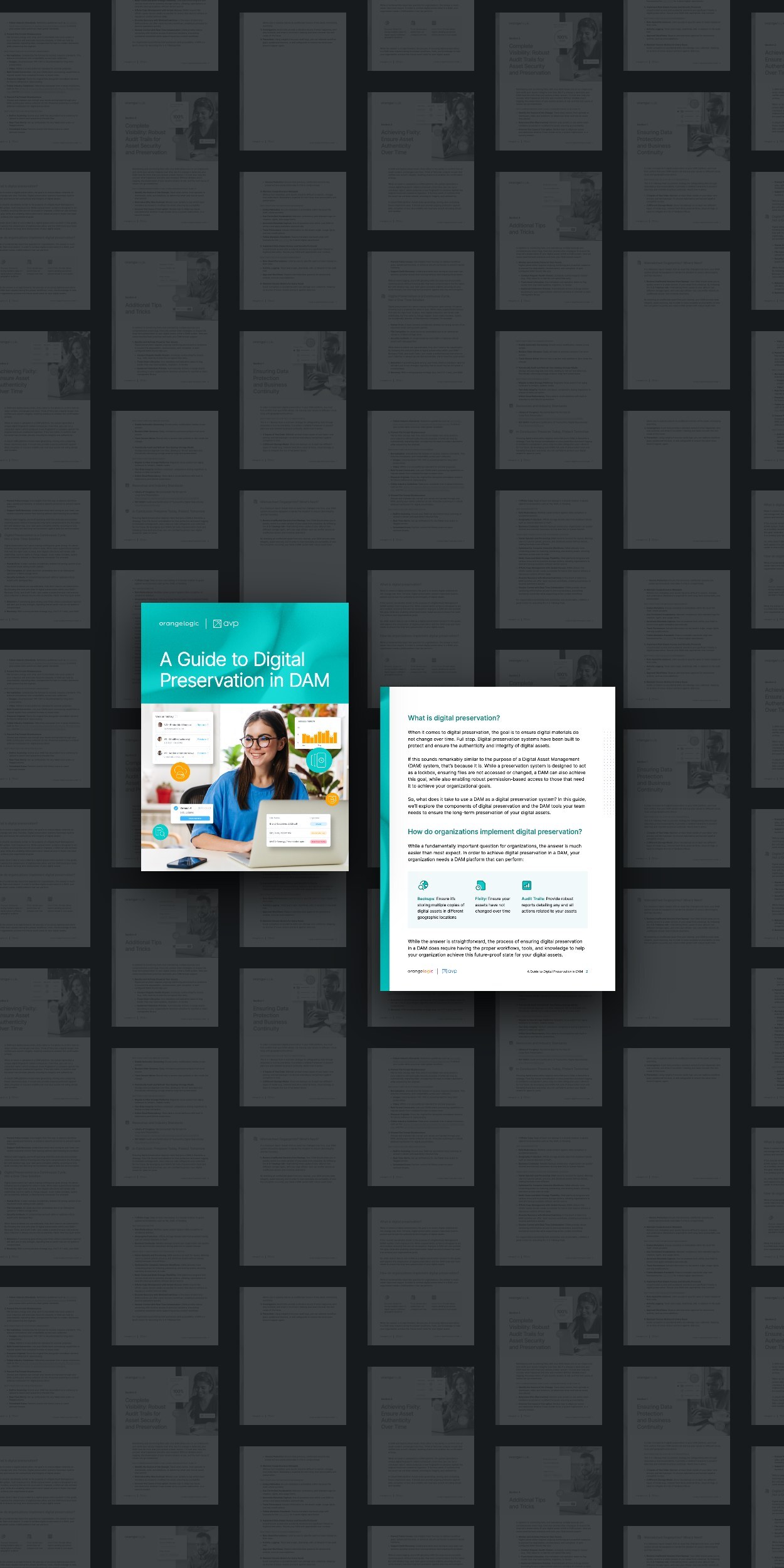 Cover and an inside page of A Guide to Digital Preservation in DAM