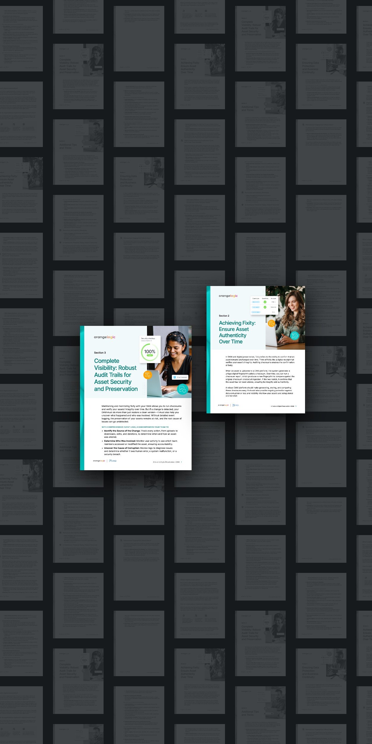 Inside pages of A Guide to Digital Preservation in DAM