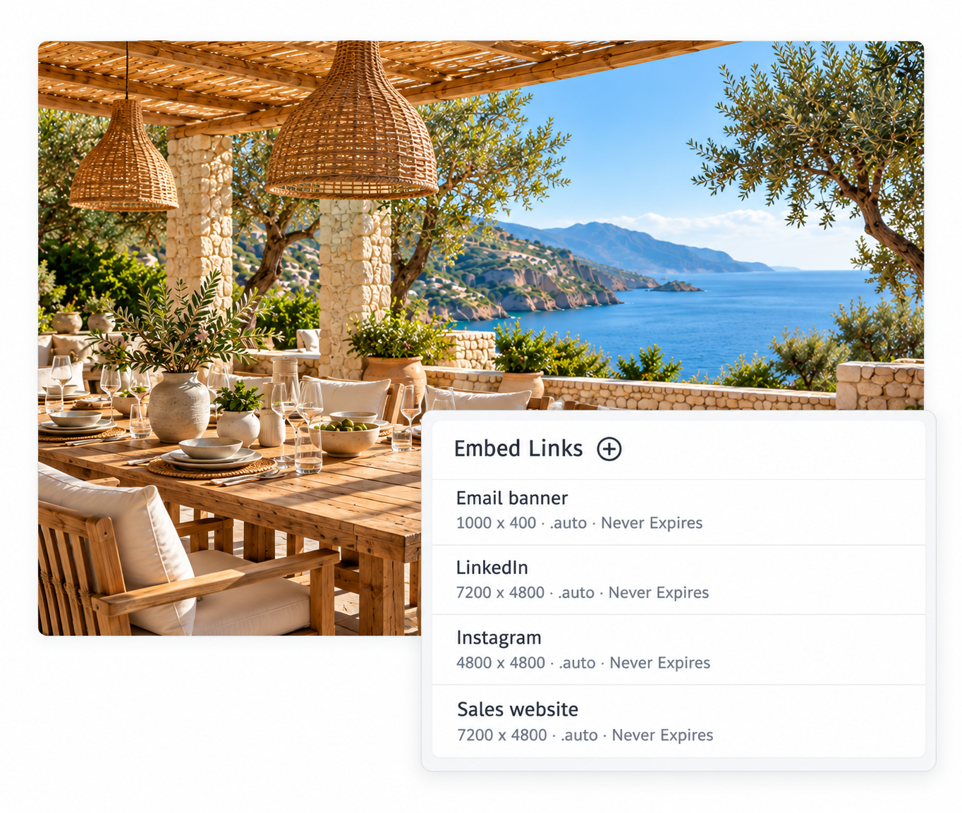 Orange Logic embed links for publishing DAM assets