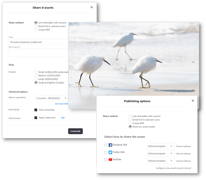 Share_multiple_assets_social_media_DAM-1 Share_multiple_assets_social_media_DAM-1