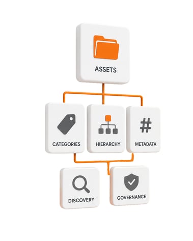 Taxonomy H2 Image