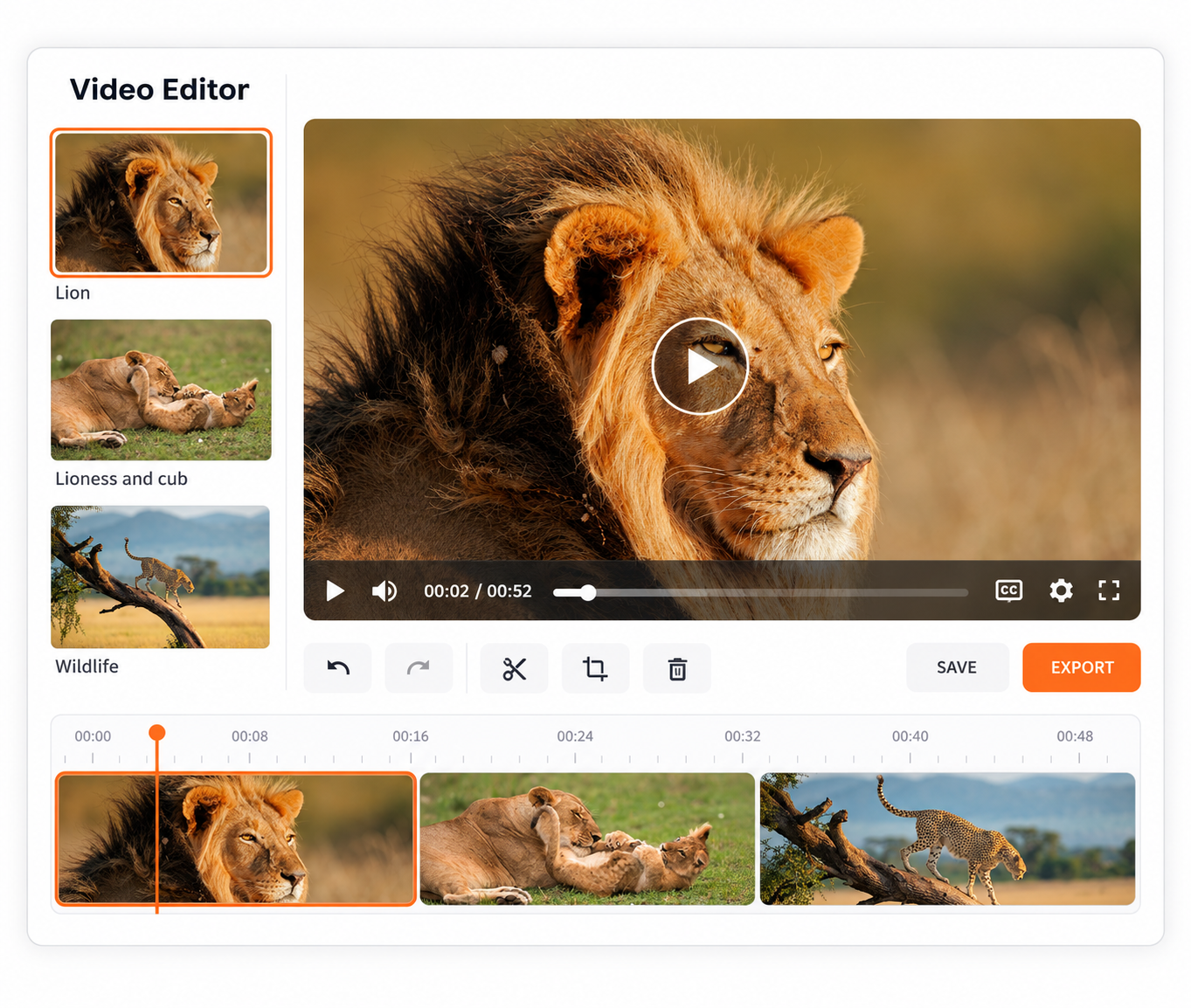 Wildlife Video Editor Workspace