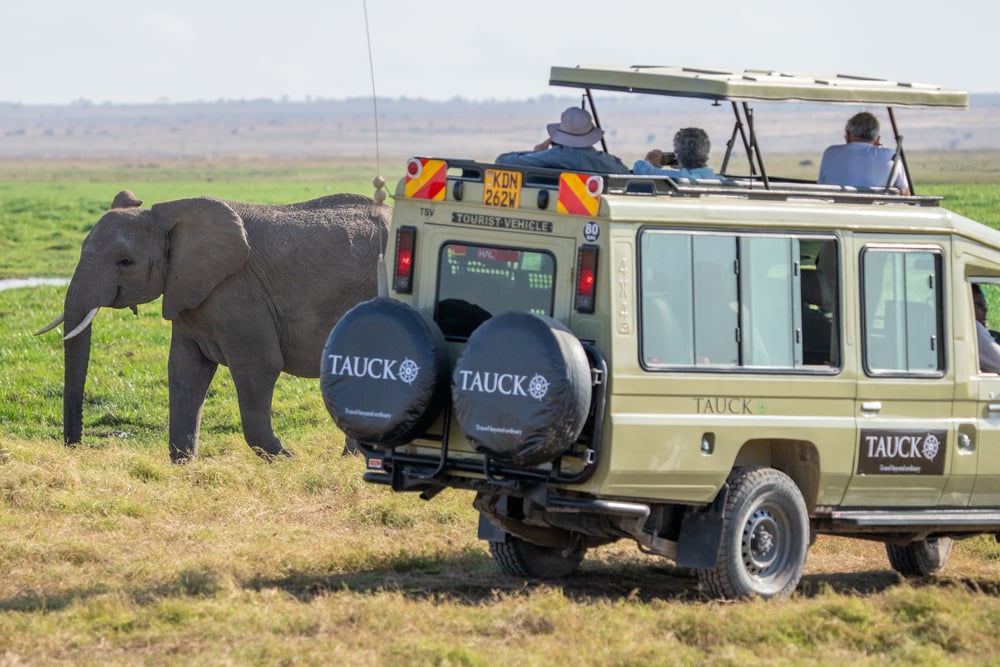 1857_AmboseliNationalPark_Kenya_KT_Oct2024-1