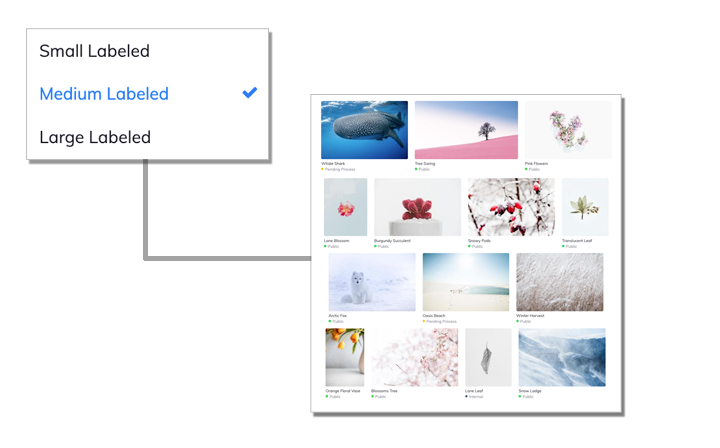 Display search results Display search results