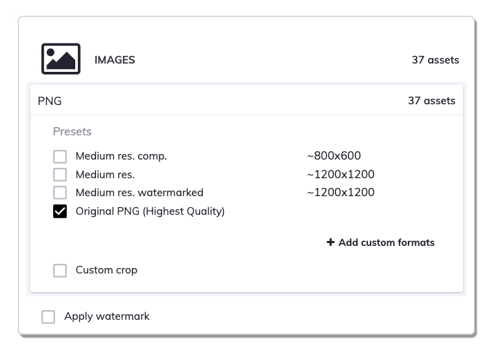 Asset size options for download