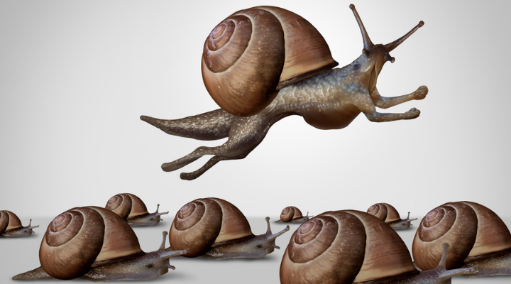 6092f6e5dc71ee72da15b576_snail evolved