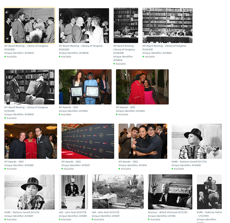 AFI DAM Gallery View Screenshot AFI DAM Gallery View Screenshot