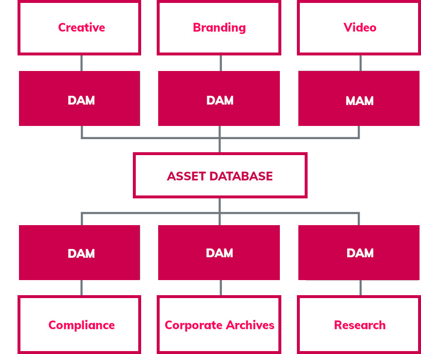 Polymorphic DAM chart