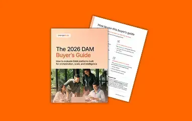 Free DAM Guide