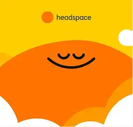Headspace case study