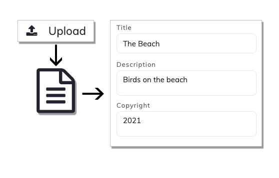 Upload digital asset Upload digital asset
